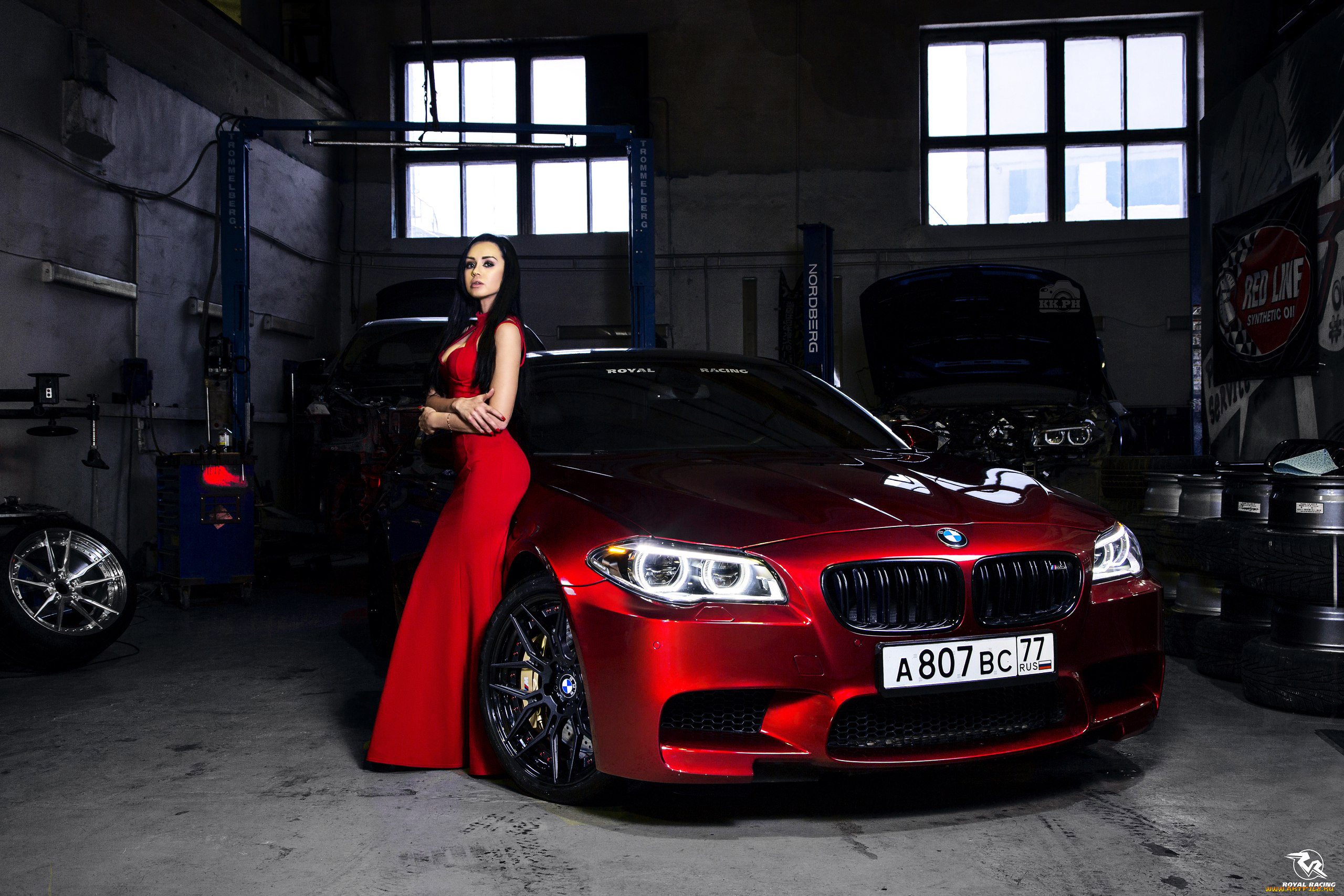 bmw girl 8, , -  , girl, , bmw